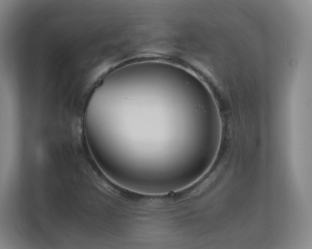 X0000110951355200906191242