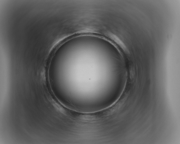 X0000110951356200906191242