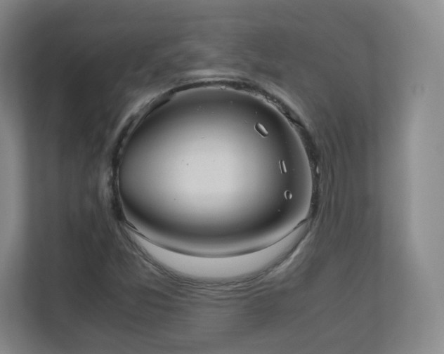 X0000110951357200906191242