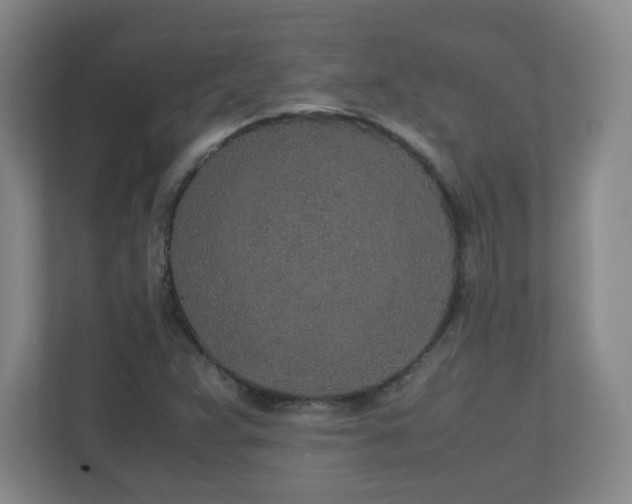 X0000110951359200906191242