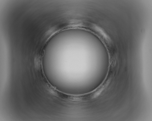 X0000110951361200906191242
