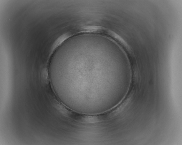 X0000110951362200906191242