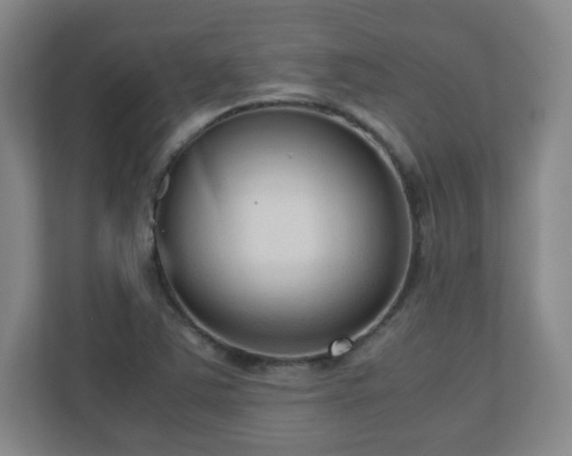 X0000110951363200906191242