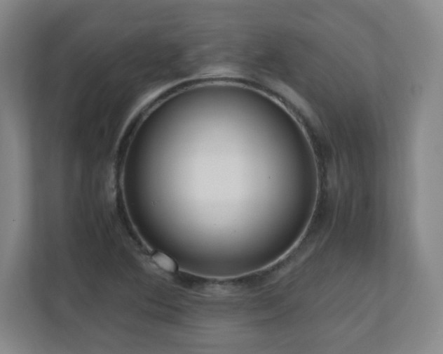 X0000110951364200906191242