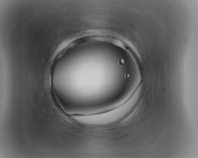 X0000110951365200906191242