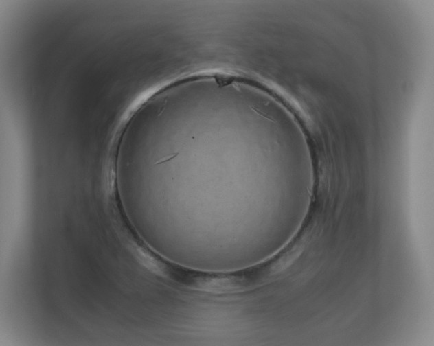 X0000110951367200906191242