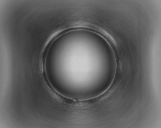 X0000110951368200906191242