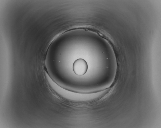 X0000110951369200906191242