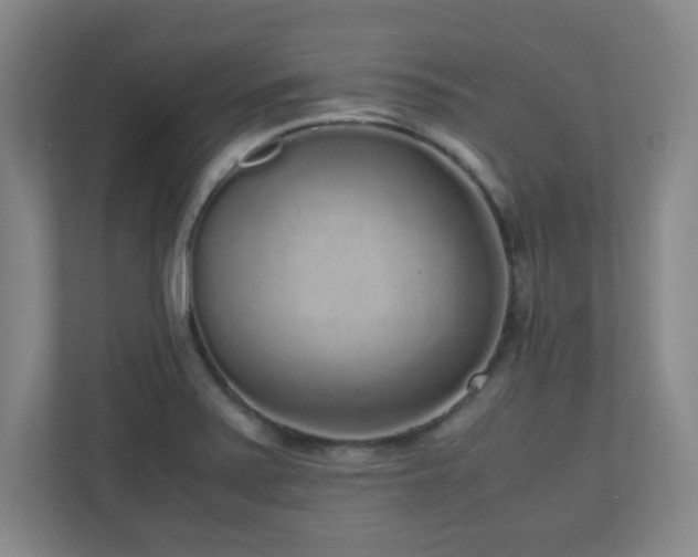 X0000110951371200906191242