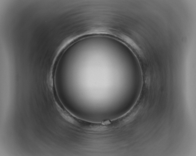 X0000110951372200906191242