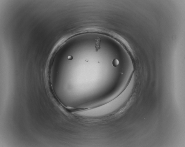 X0000110951373200906191242