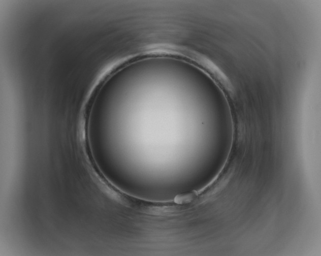X0000110951376200906191242