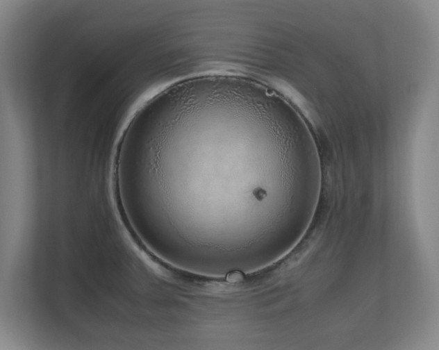 X0000110951379200906191242