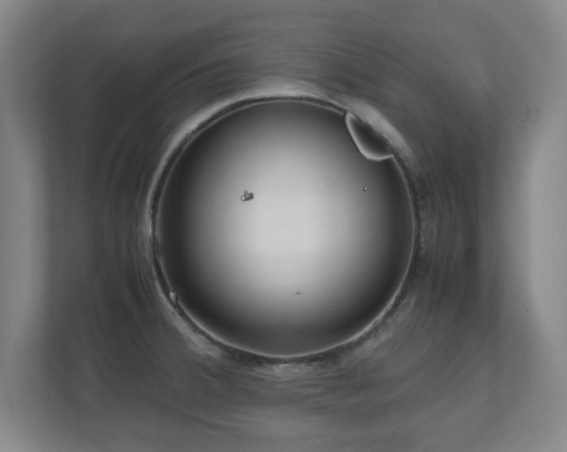 X0000110951380200906191242