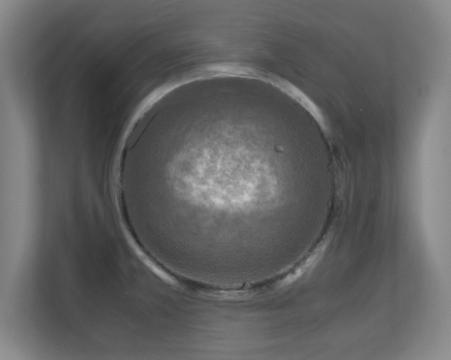 X0000110951381200906191242