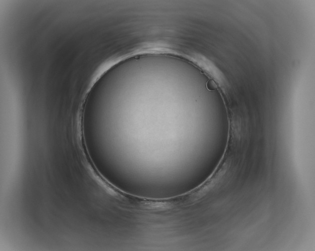 X0000110951382200906191242