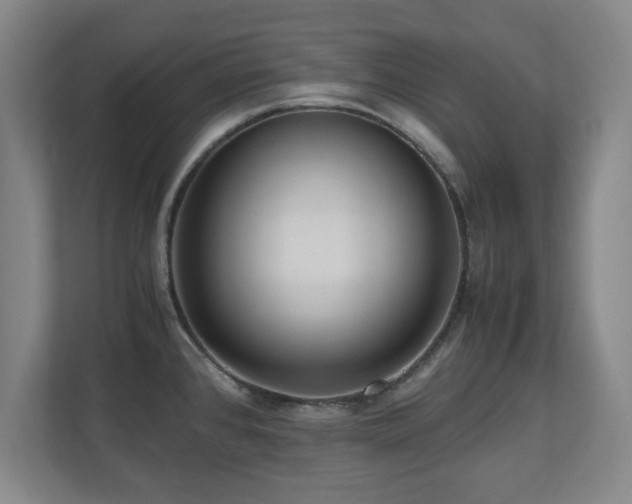 X0000110951384200906191242