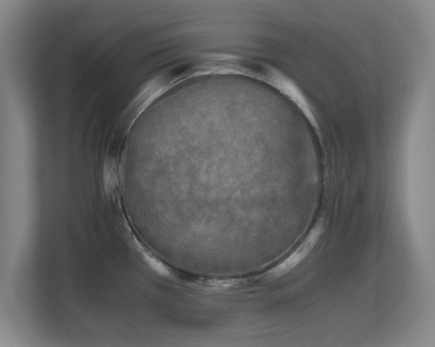X0000110951385200906191242