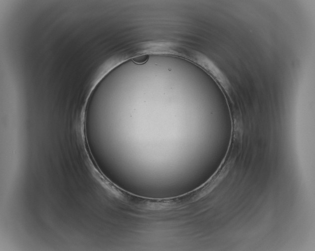 X0000110951386200906191242
