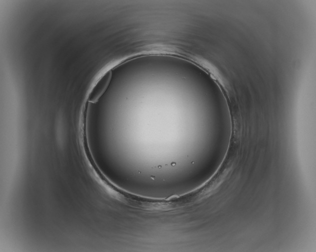X0000110951387200906191242