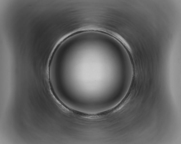 X0000110951388200906191242