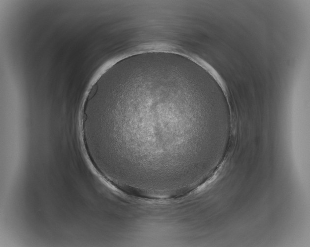 X0000110951389200906191242