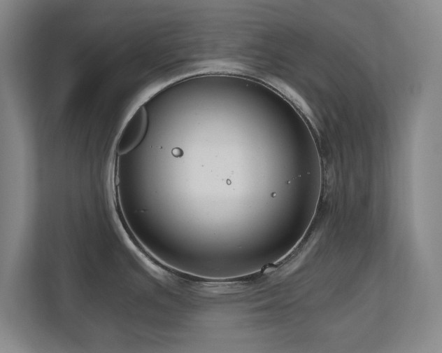 X0000110951391200906191242