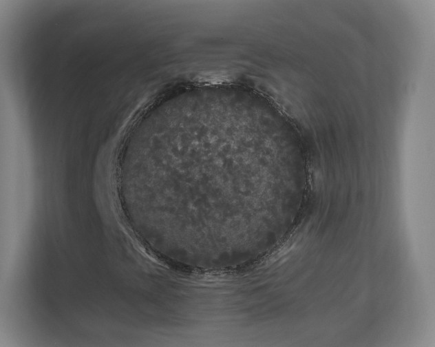 X0000110951393200906191241