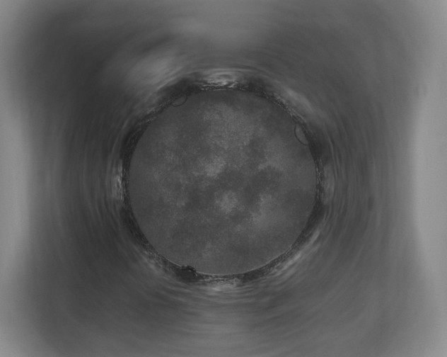 X0000110951394200906191241