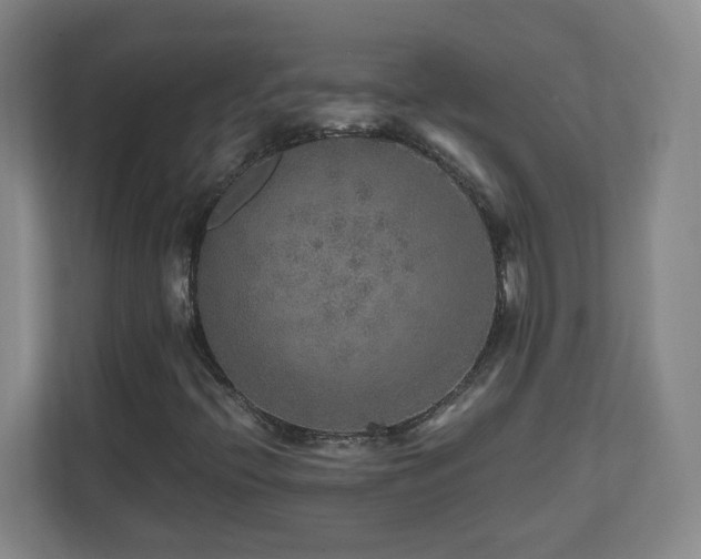X0000110951396200906191241