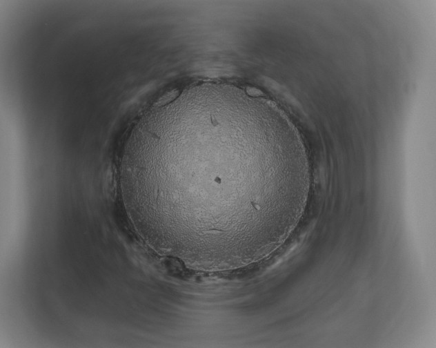 X0000110951398200906191241
