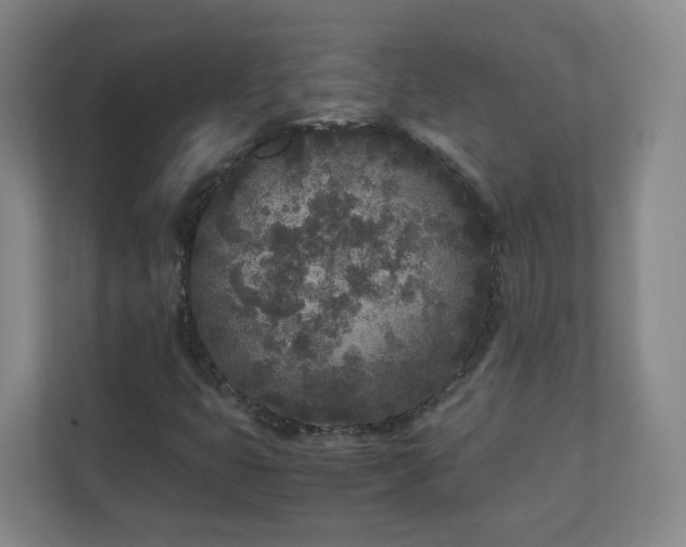 X0000110951399200906191241