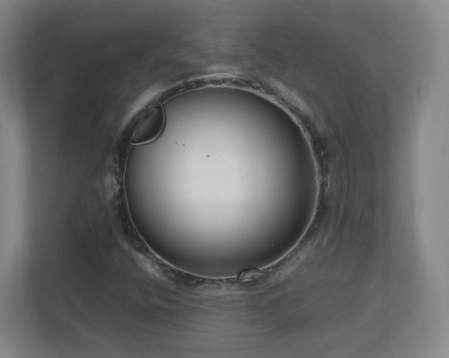 X0000110951400200906191241