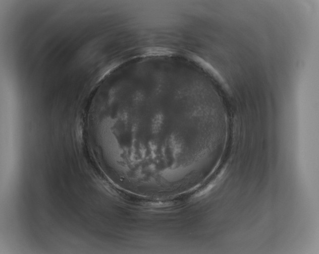 X0000110951401200906191241