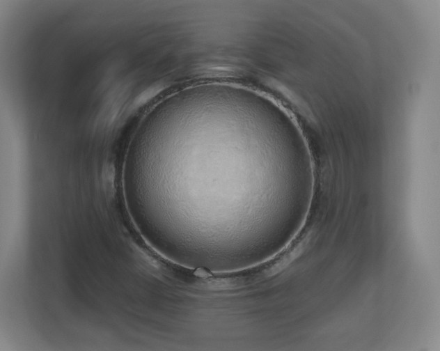 X0000110951402200906191241