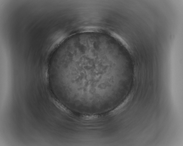 X0000110951403200906191241