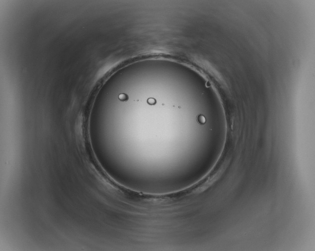 X0000110951404200906191241