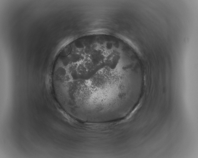 X0000110951405200906191241