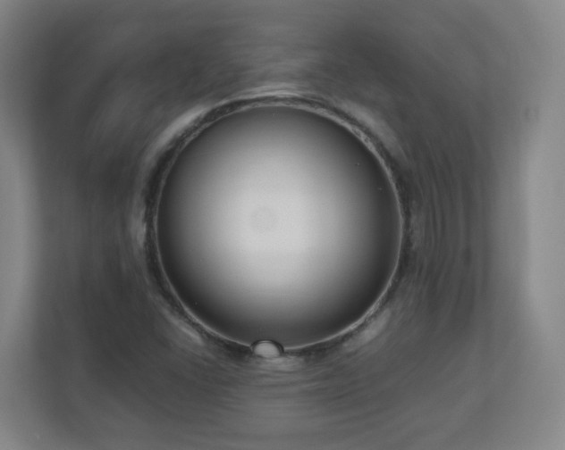 X0000110951406200906191241