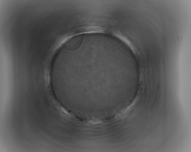 X0000110951407200906191241