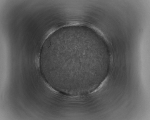X0000110951409200906191241