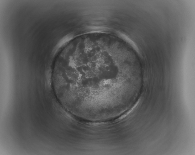 X0000110951411200906191241