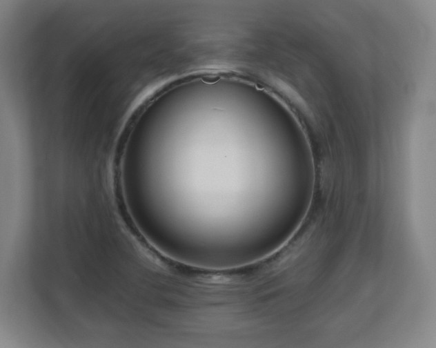 X0000110951412200906191241