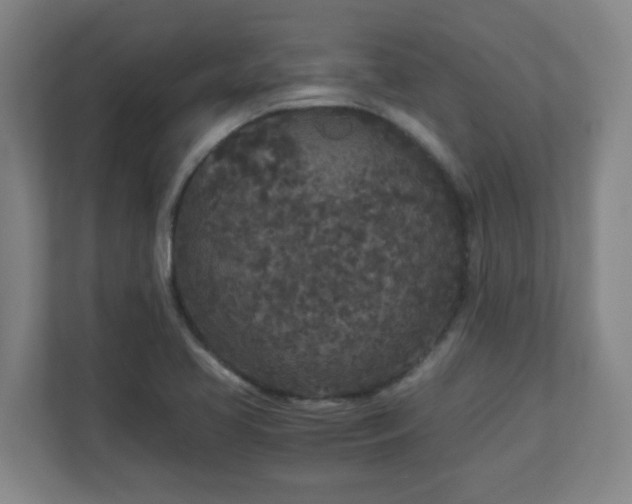 X0000110951413200906191241