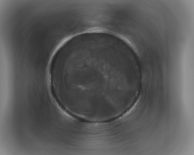 X0000110951414200906191241