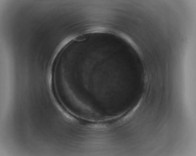 X0000110951418200906191241
