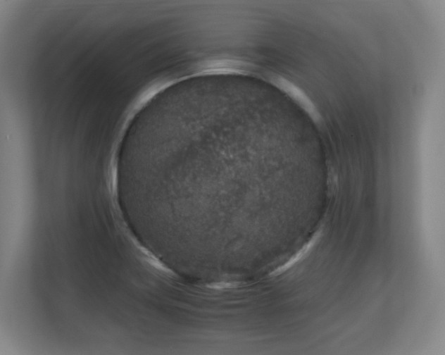 X0000110951419200906191241