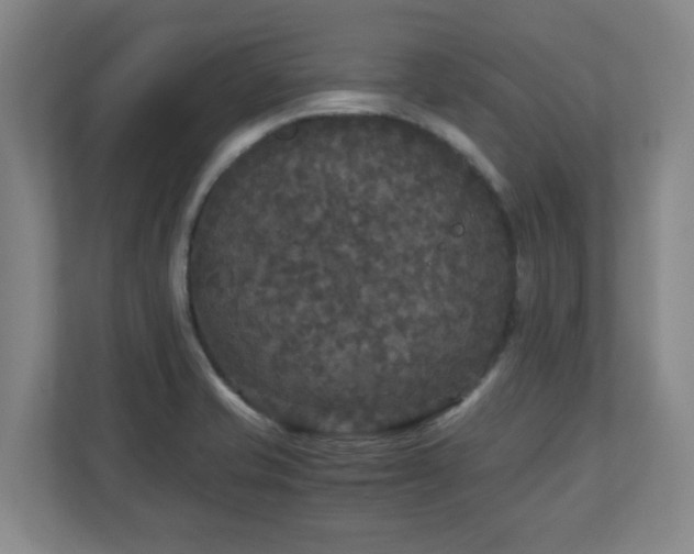 X0000110951421200906191241