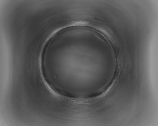 X0000110951422200906191241