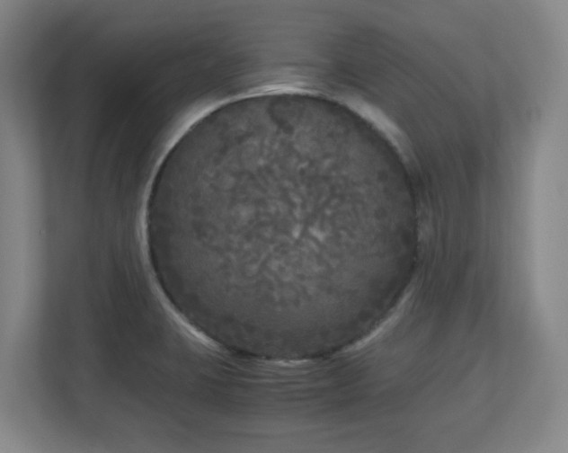 X0000110951423200906191241